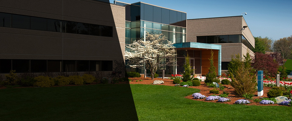 Bloomingdale Landscapers