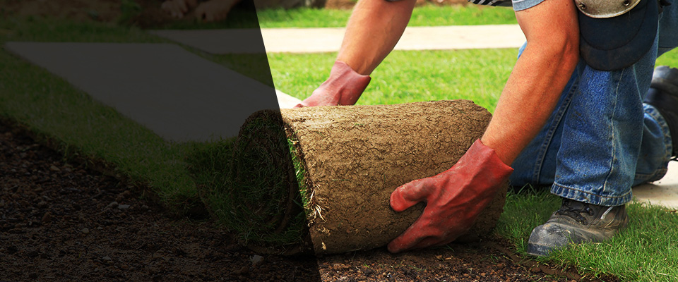 Bloomingdale Landscapers